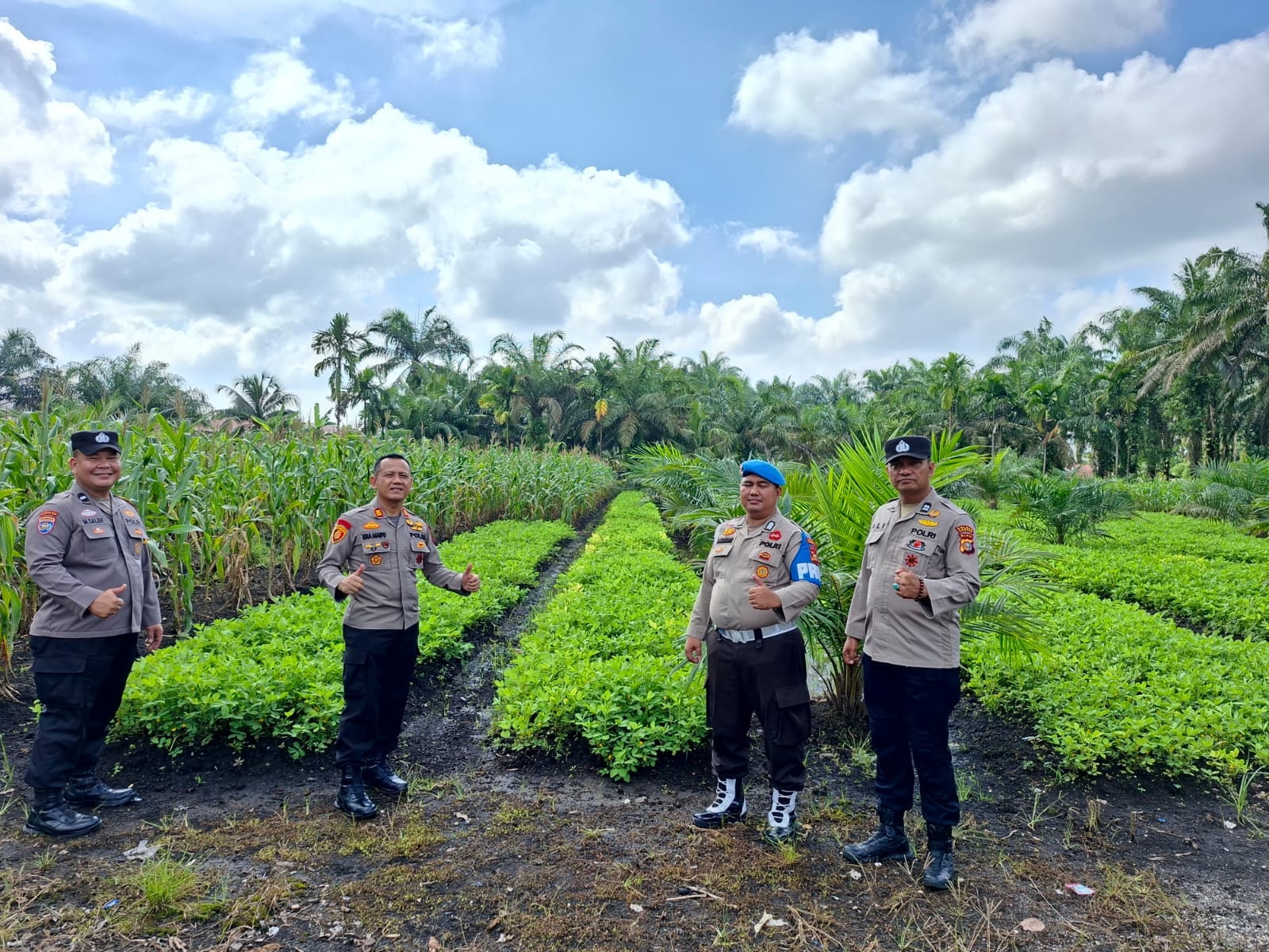 Kapolsek Kampar Kiri Hilir Tinjau Program Pekarangan Pangan Bergizi di Desa Simpang Dua untuk Dukung