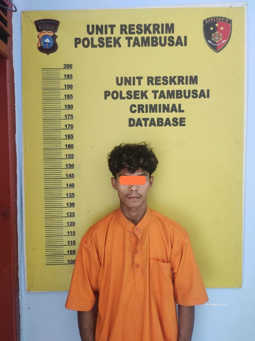 Polsek Tambusai Ungkap Kasus Dugaan Tindak Pidana Pertolongan Jahat Di Tambusai Barat