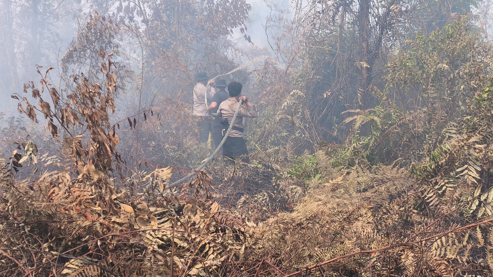 Kerahkan 123 Personel, Kapolres Kampar Pimpin Langsung Pemadaman & Pendinginan Karhutla di Rimbo Pan