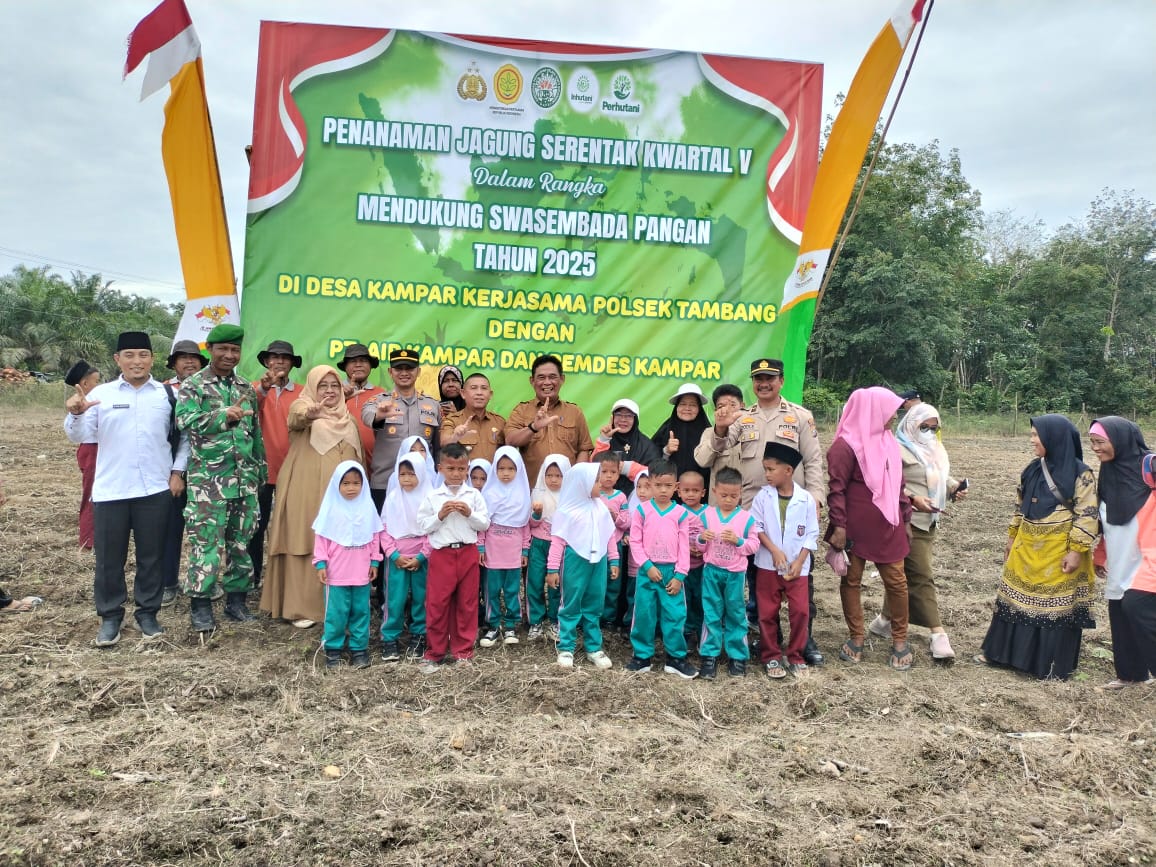 Polsek Tambang Tanam Jagung, Dukung Ketahanan Pangan, Kapolsek: Sinergi dengan PT Air Kampar