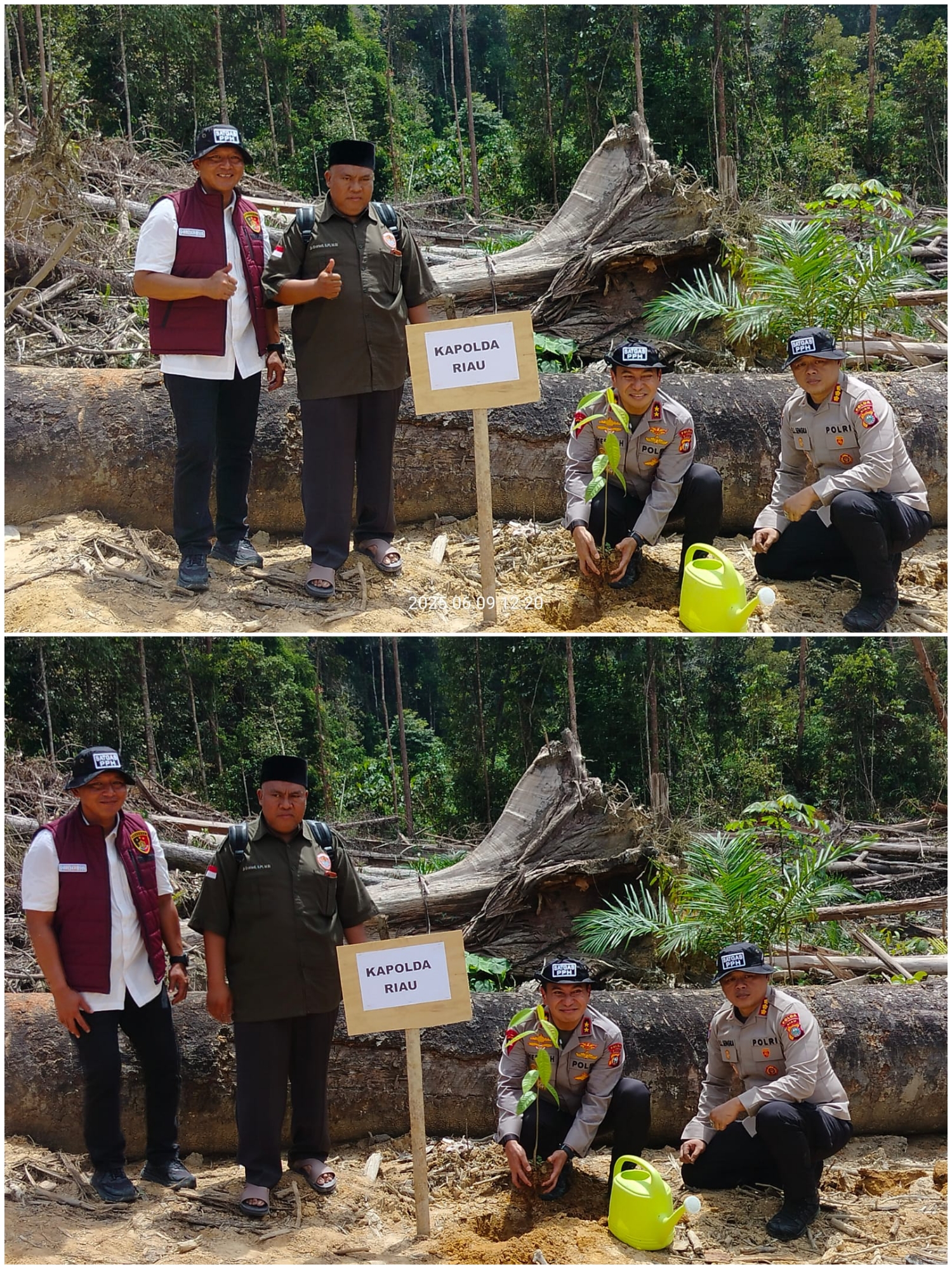 Bukan Cuma Tangkap Pelaku, Kapolda Riau Juga Tanam Pohon di Lokasi Perambahan Hutan