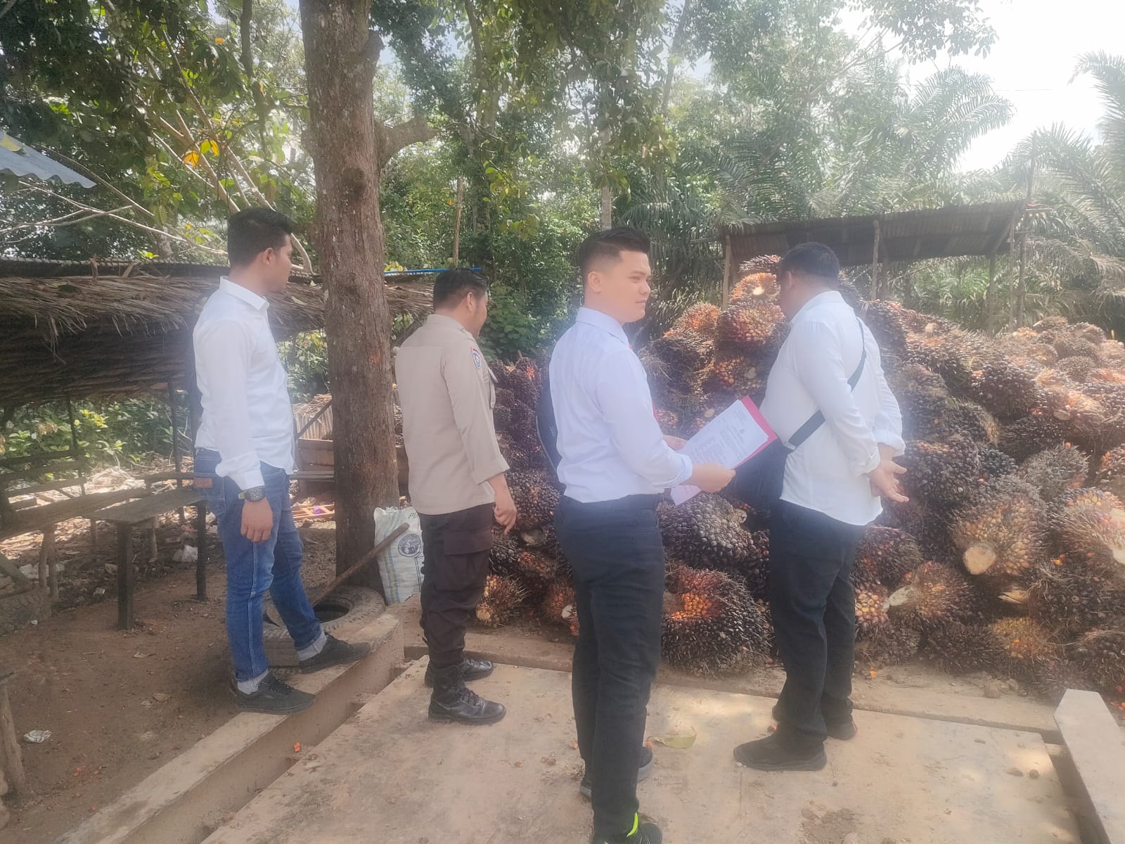 Antisipasi Buah Sawit Curian 5 Peron Yang Berada Didesa Sikakak Dan Desa Tanjung Medan 