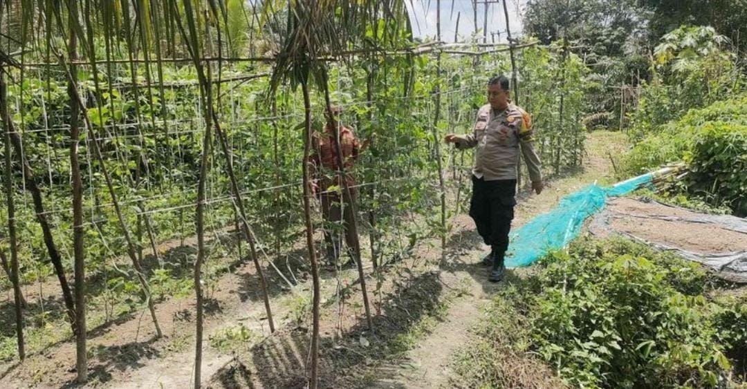 Bhabinkamtibmas Polsek Tambang Dorong Kemandirian Pangan