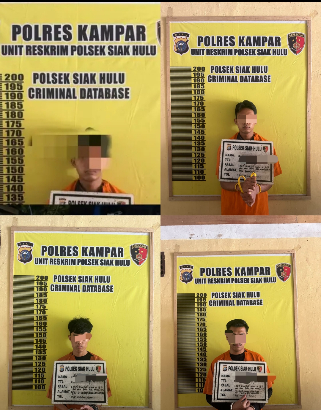 Polsek Siak Hulu Tangkap Pelaku Curas, 4 dari 7 Pelaku Yang Terlibat