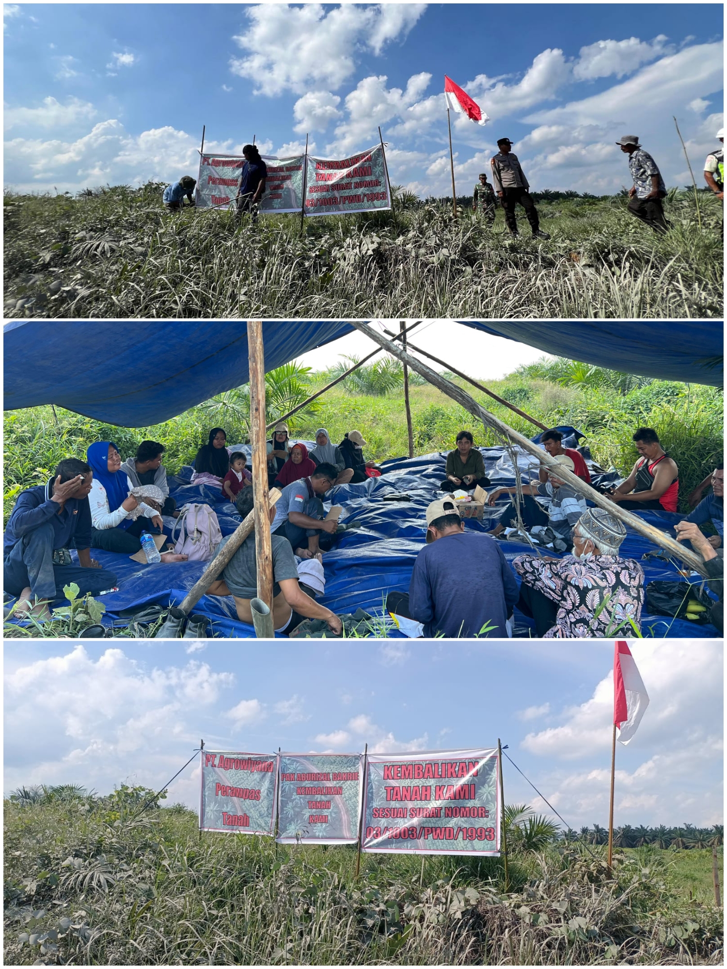 Petani Penggarap Purwodadi Melakukan Aksi Dan Pendudukan Lahan Yang di Klaim PT Agrowiyana