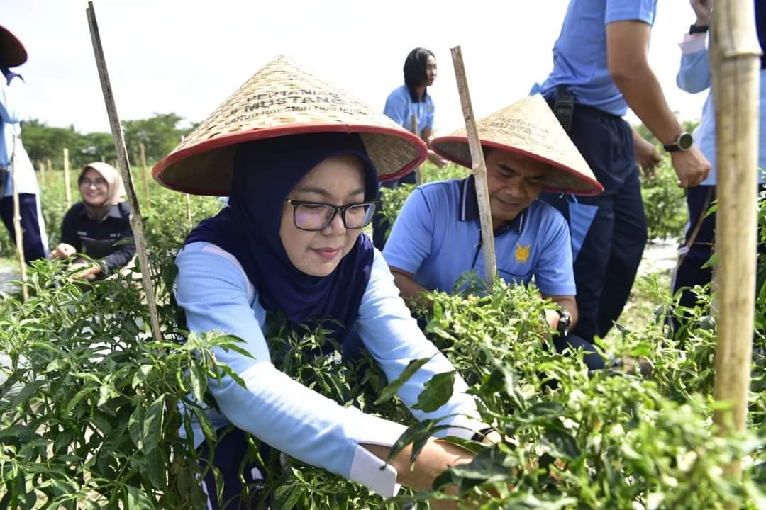 Komandan Lanud Roesmjn Nurjadin Memimpin Kegiatan Panen Sayur