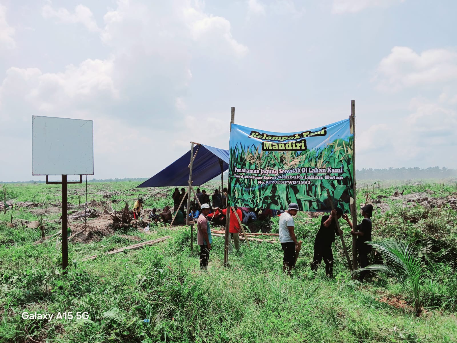 Kelompok Tani Mandiri Melawan: Dirikan Tenda Dan Tanam Palawija DI Tanahnya