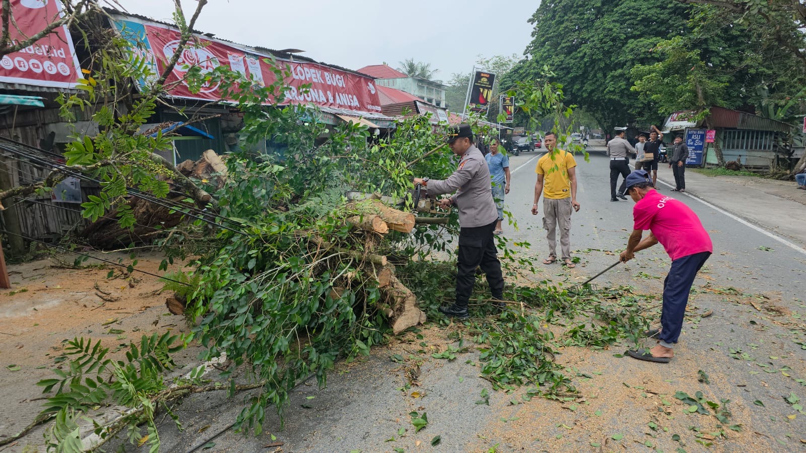 Kapolsek Tambang Cepat Tindak! Pohon Tumbang Blokir Jalan, Bantu Lalu Lintas Lancar Kembali