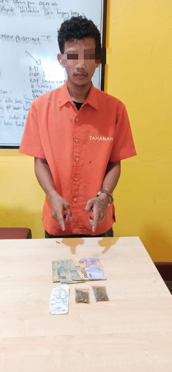 Miliki Daun Ganja, Warga Desa Batang Batindih di Amankan Polsek Kampar