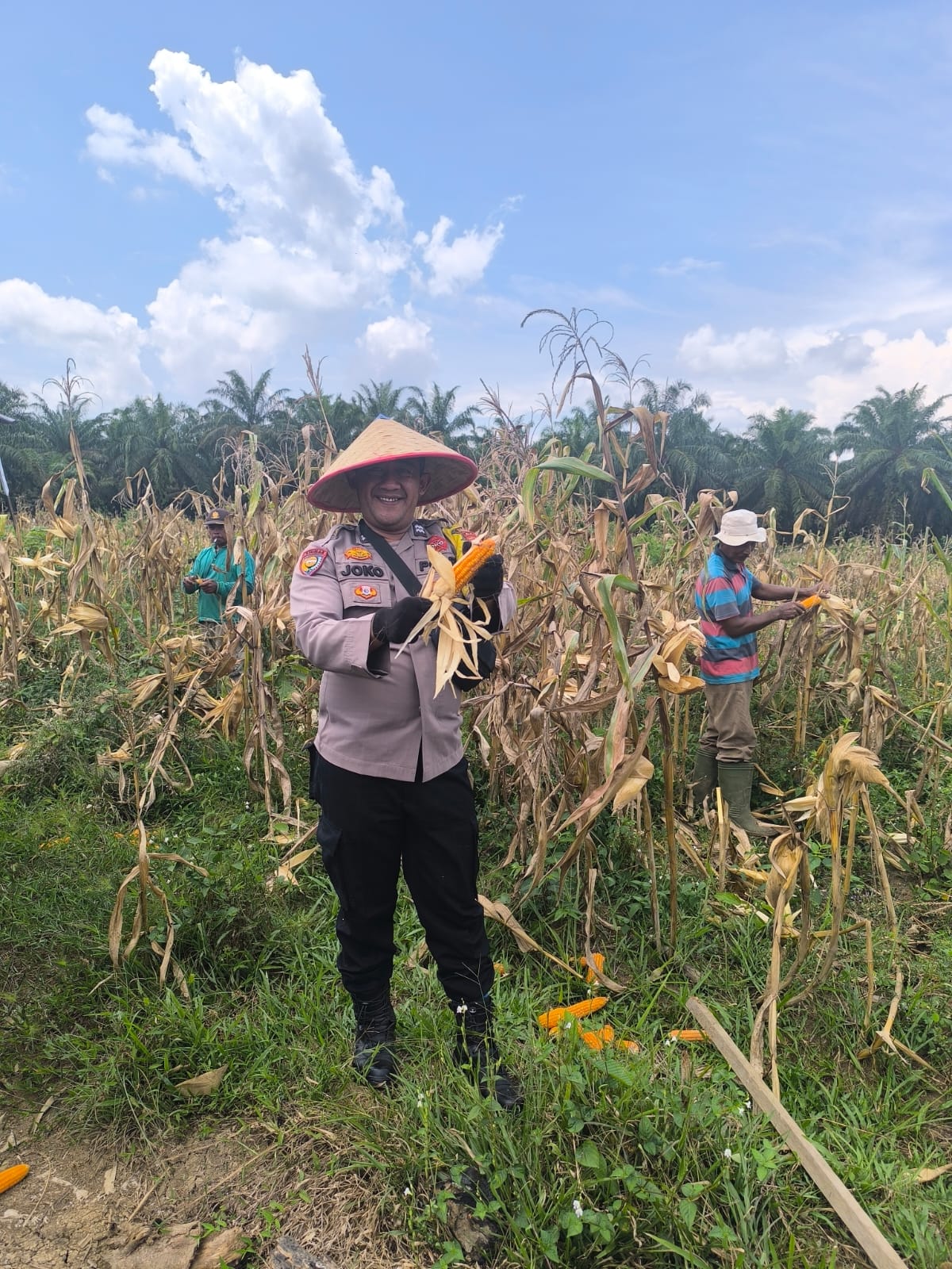 Polres Rokan Hulu Dukung Program Asta Cita Melalui Ketahanan Pangan Jenis Jagung