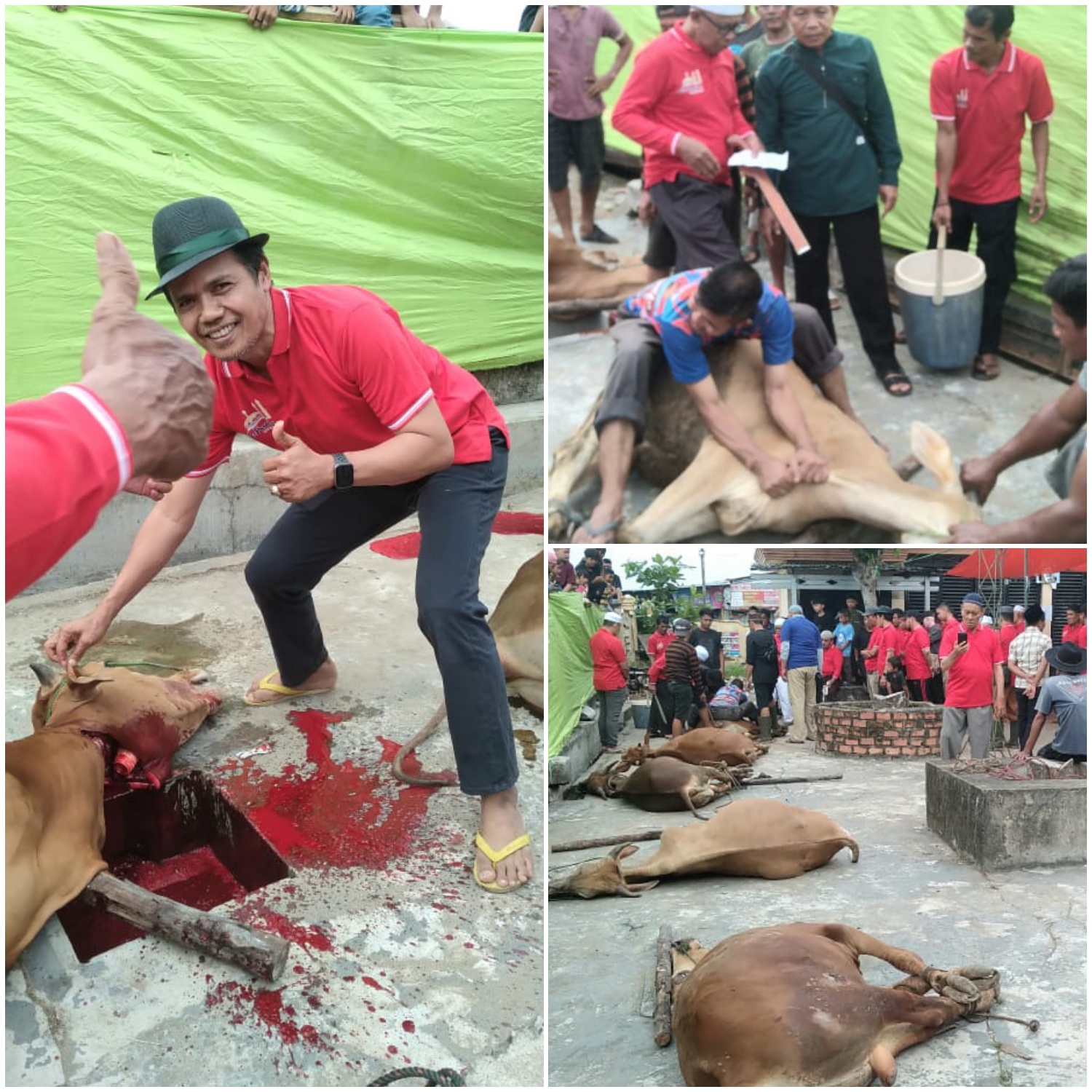 Masjid Al-Huda Tembilahan Laksanakan Penyembelihan 15 Ekor Hewan Qurban