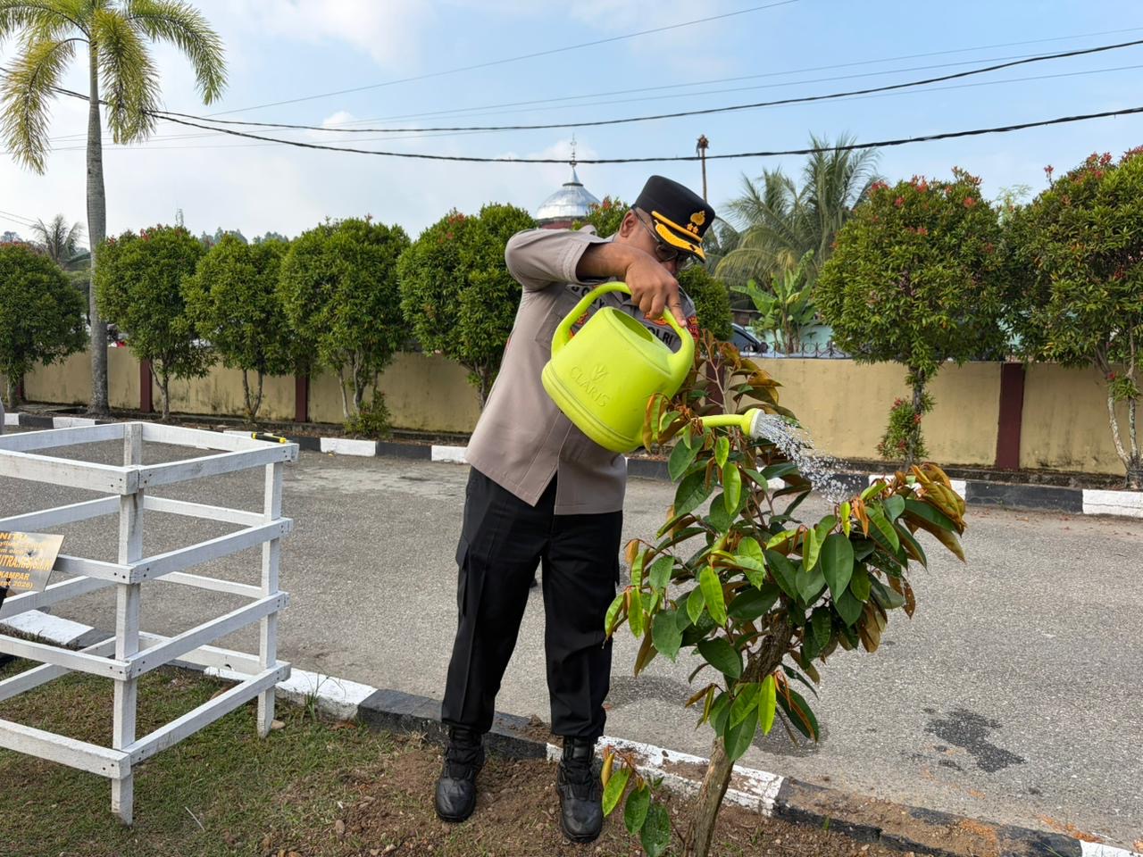 Kapolres Kampar Tanam Pohon Kenitu dari Kapolda Riau di Halaman Mapolres, Dukungan Pelestarian Lingk