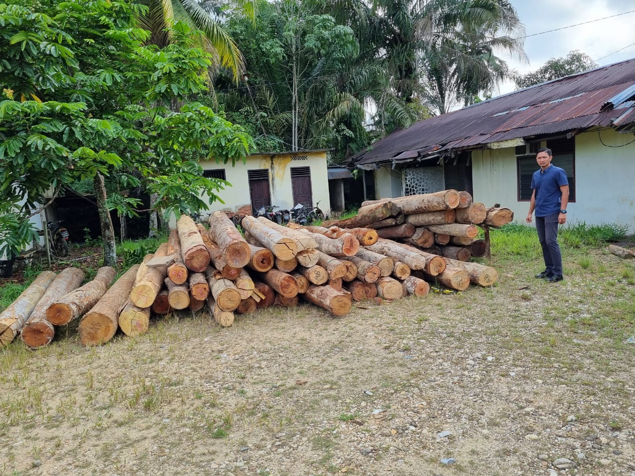 Dituding Tak Mampu Tertibkan Ilegal Logging, Kapolres Kampar Beri Bukti Nyata 