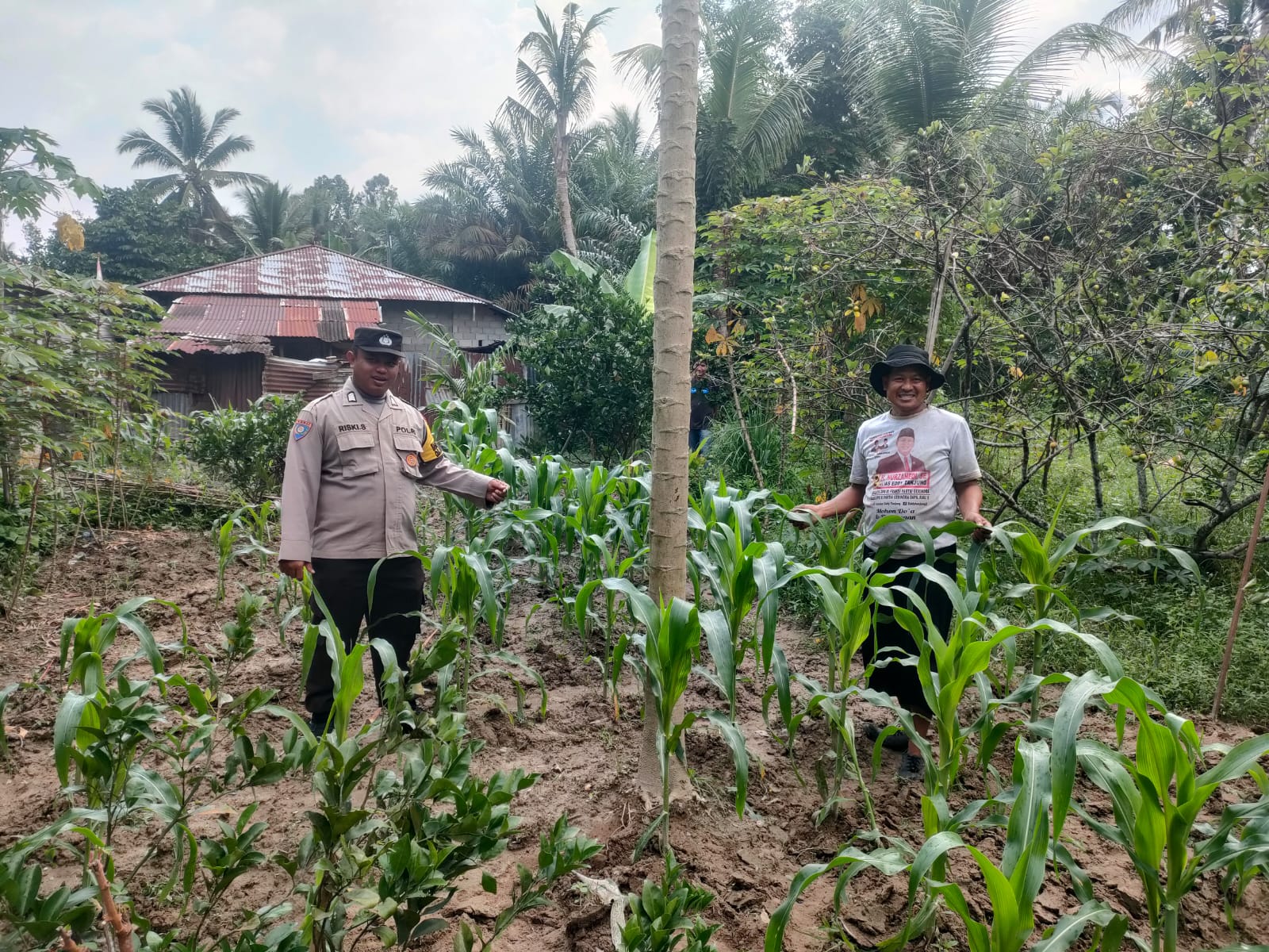 Bhabinkamtibmas Desa Limau Manis Pantau Langsung Ketahanan Pangan Warga