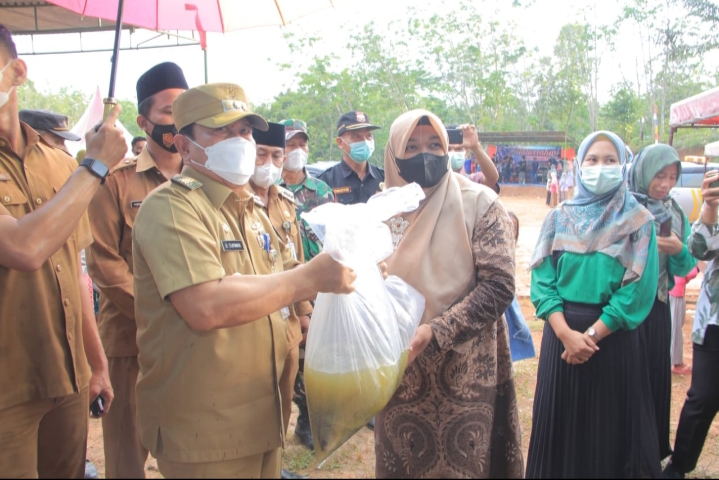 Bupati Dan Wabup Rohul Mengikuti Panen Budi Daya Ikan