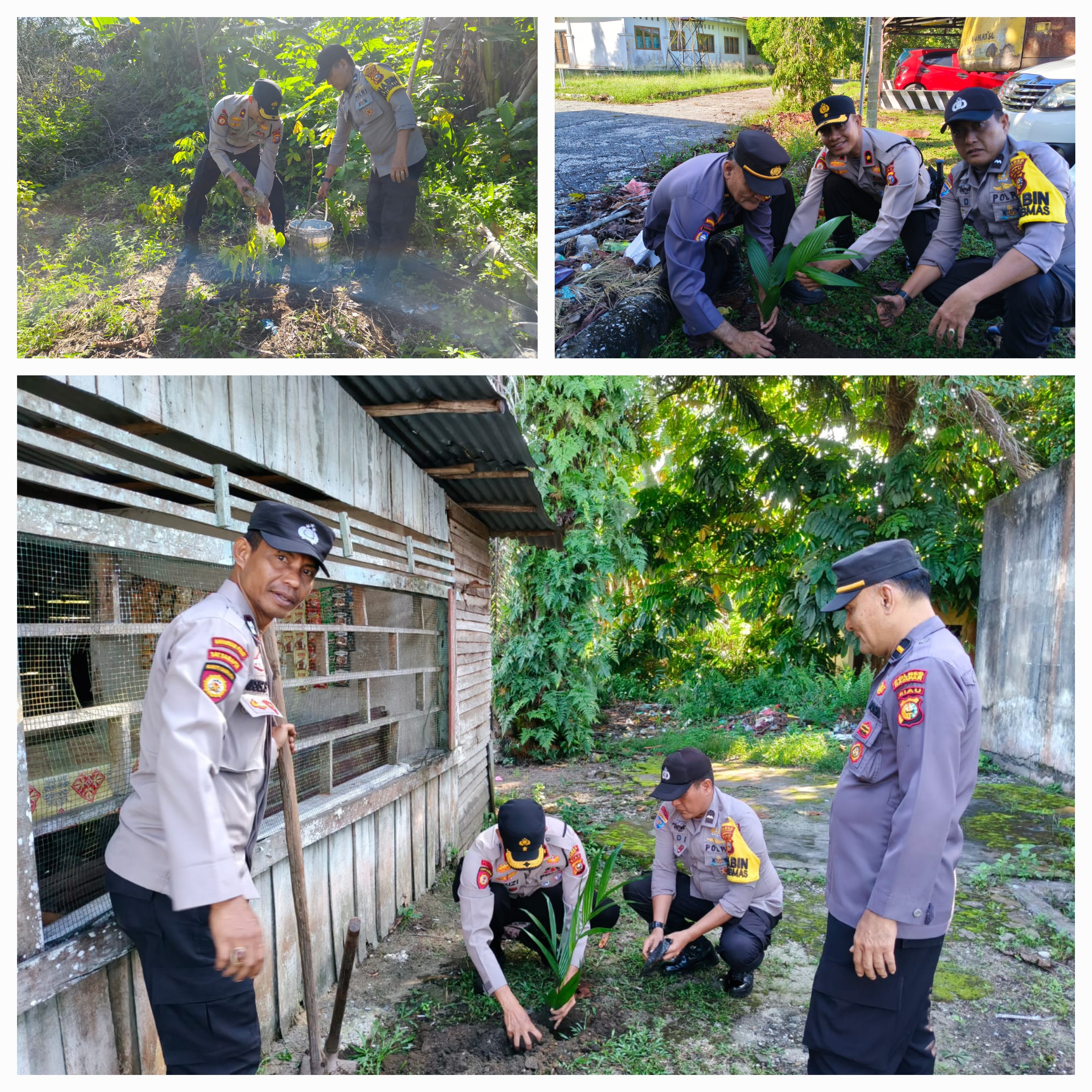 Kapolsek Siak Hulu Tanam Pohon, Investasi Jangka Panjang untuk Bumi dan Generasi Mendatang  