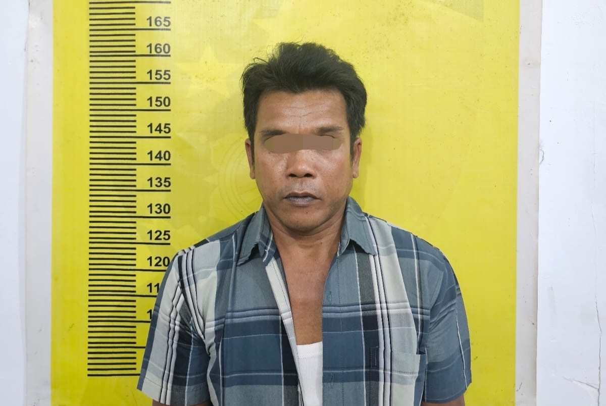 Setubuhi Anak Tiri warga batang Gansal Dibekuk polisi