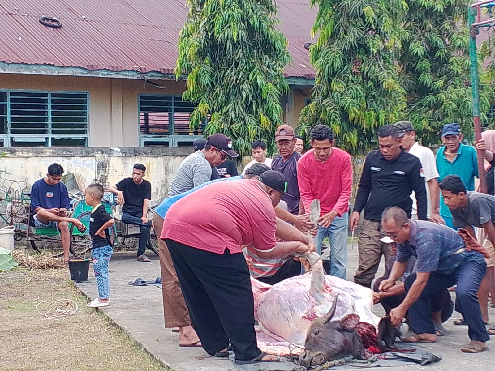 Musholla Jamiatul Hidayah Laksanakan Pemotongan Hewan Kurban 2025