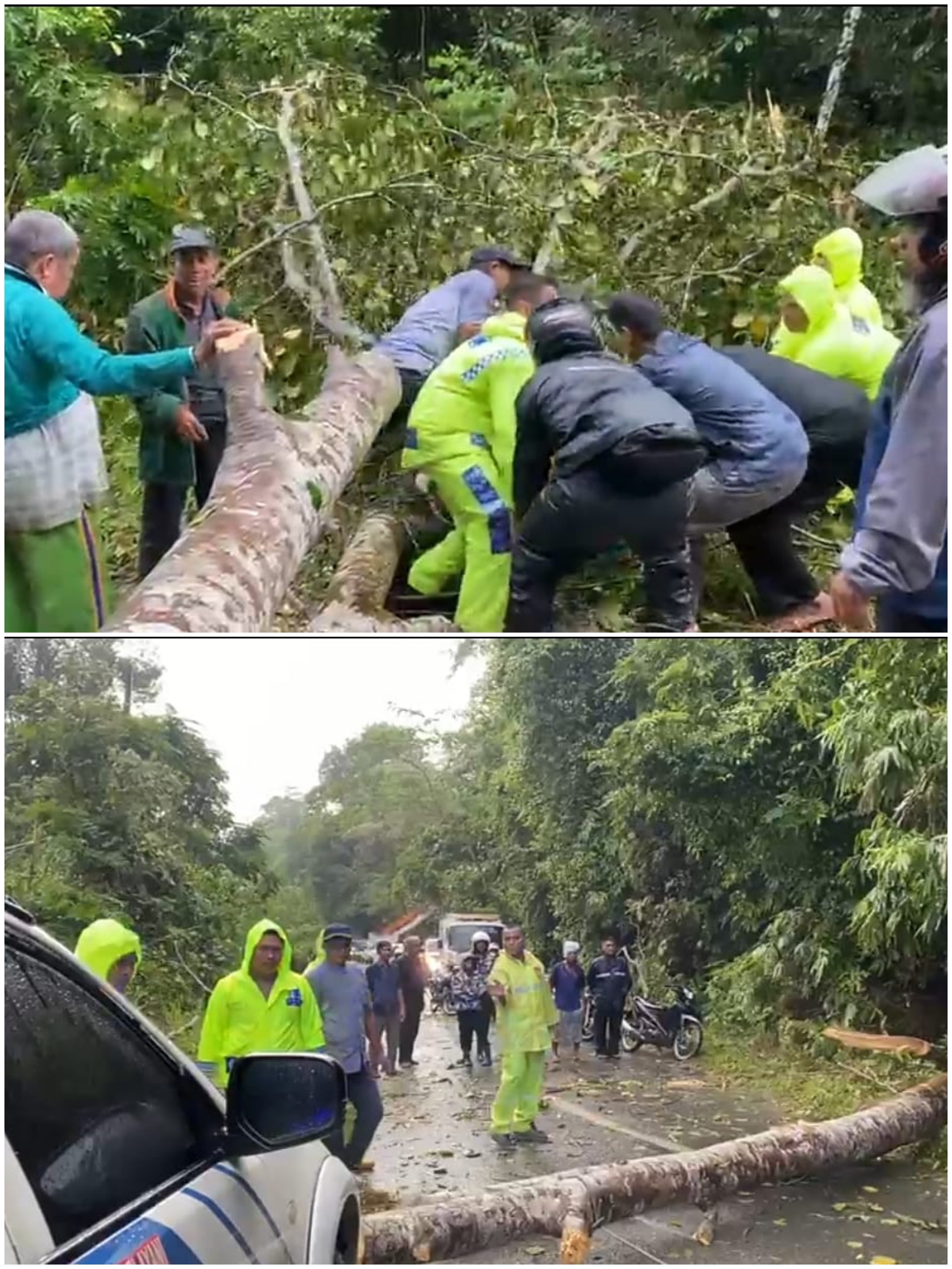 Gerak Cepat, Sat Samapta Polres Kampar Evakuasi Pohon Tumbang di Jalan Petapahan-Bangkinang