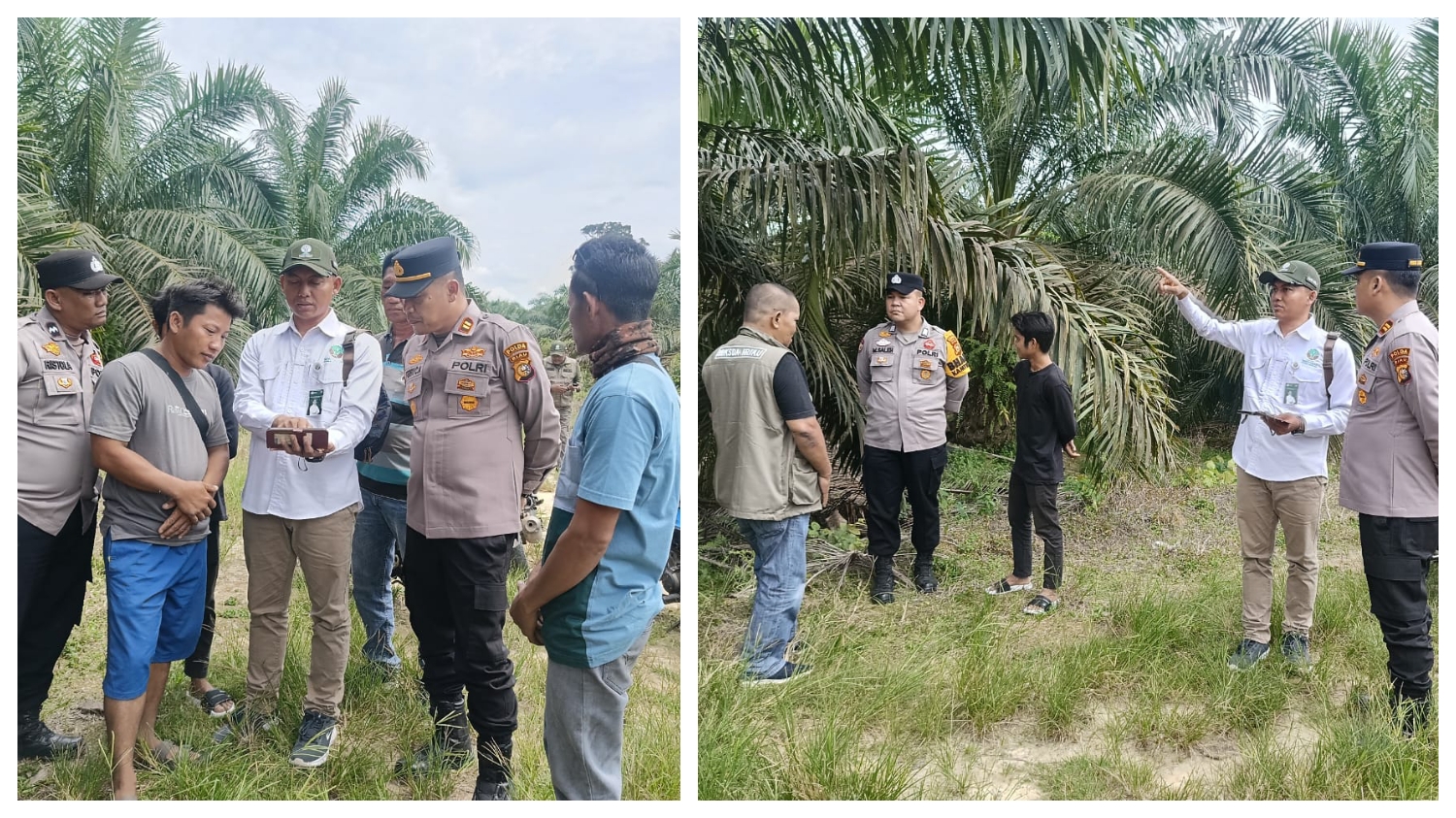 Kapolsek Kampar Kiri Hilir Imbau Warga Tidak Keluar Rumah Malam Hari, Usai Heboh Penampakan Harimau!