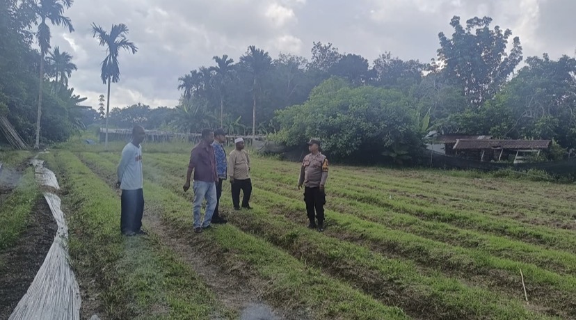 Sinergitas Pemdes Kuala Alam Bersama Polsek Bengkalis Dalam Menyukseskan Program Ketahanan Pangan