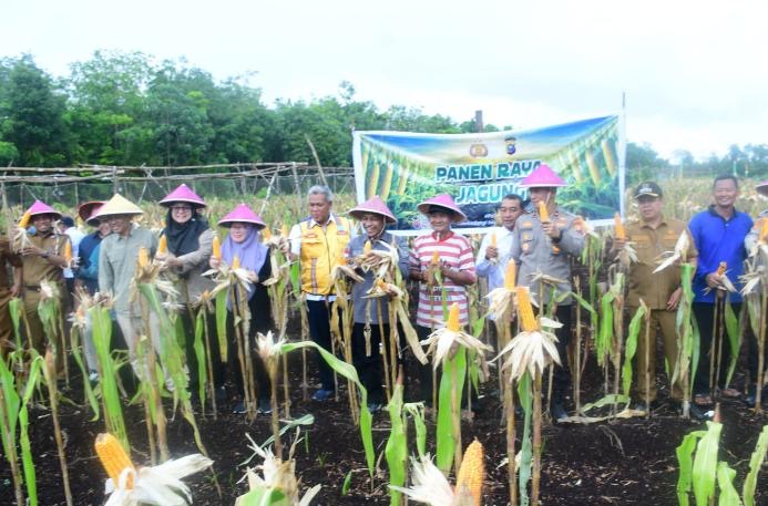 Panen Jagung Bersama Dalam Rangka Mendukung Swasembada Pangan Tahun 2026 Desa Sukamaju
