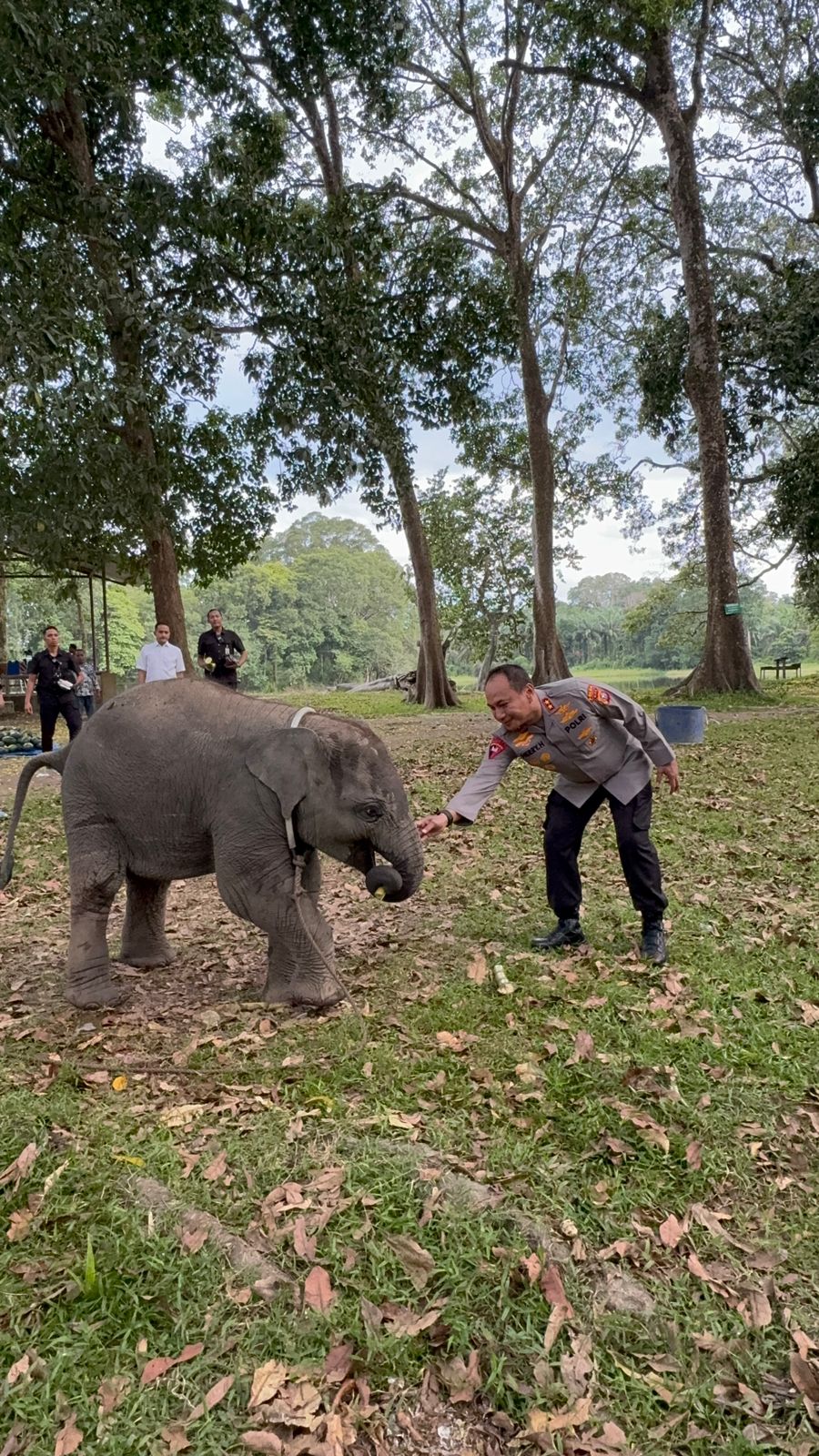 Sembari Patroli, Kapolda Riau Kunjungi Keluarga Gajah di TWA Buluh Cina