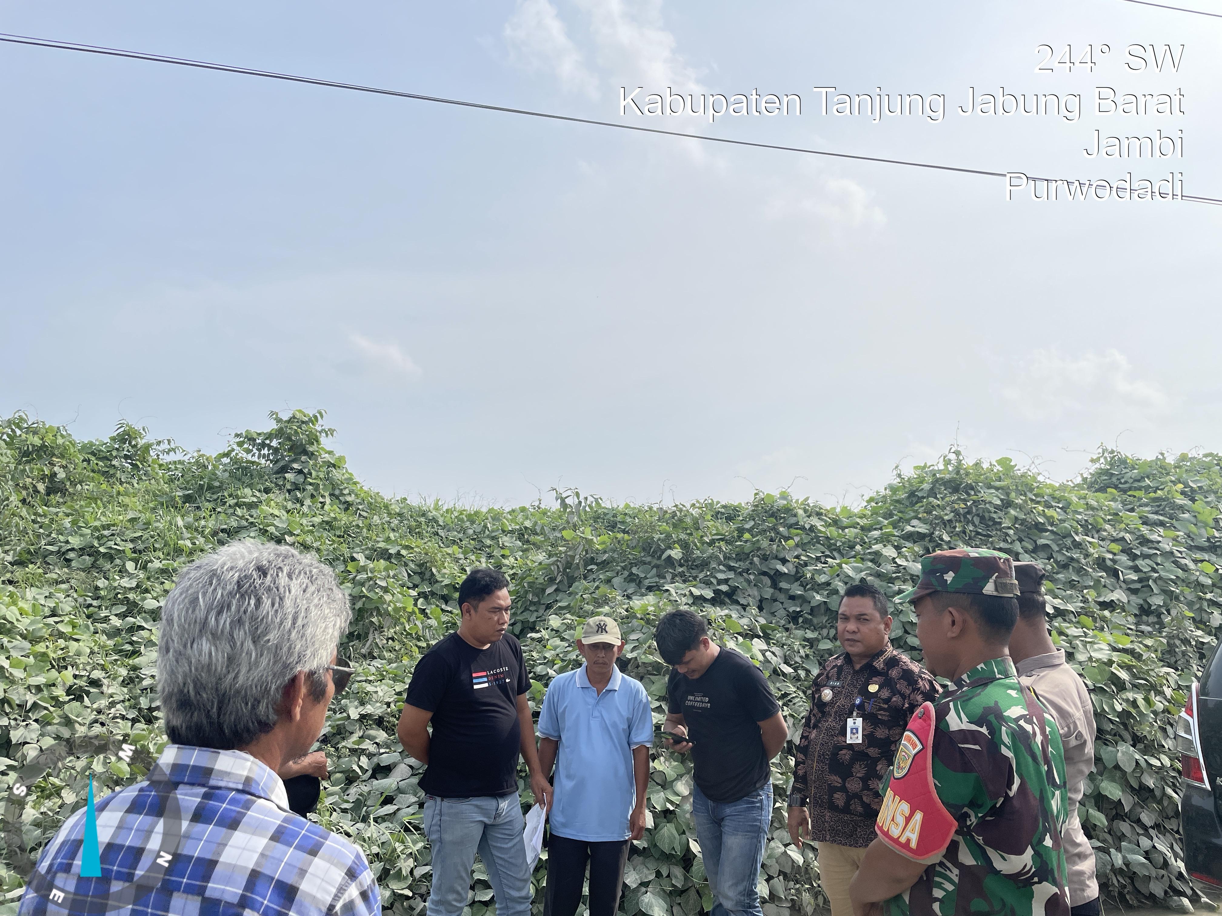 PT Agrowiyana Arogan, Wiranto : Kita Duduki Lahan Minggu Depan