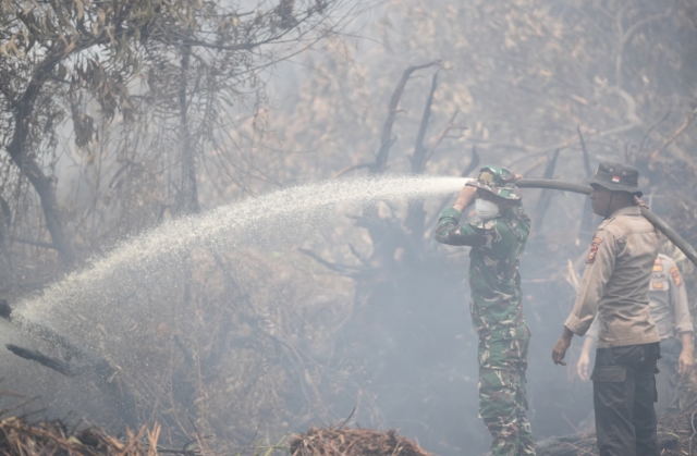 Kapolda Riau dan Pangdam Tuanku Tambusai Patroli Udara Karhutla, Turun Langsung Padamkan Api di Pela