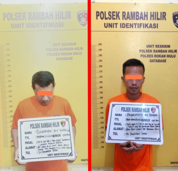 Diduga Mencuri Sapi Diamankan Polsek Rambah Hilir