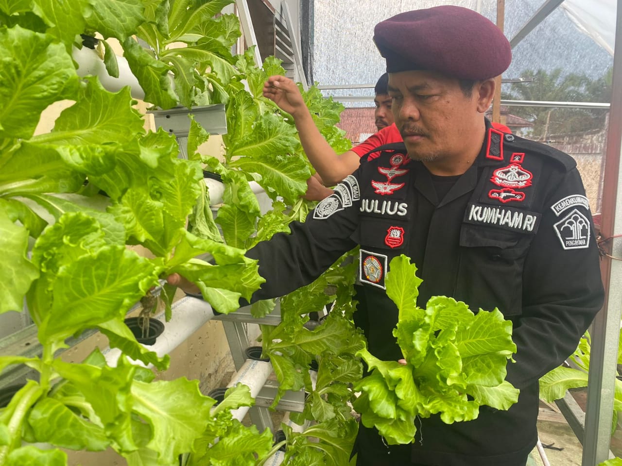 Ka.rutan Rengat Julius Barus SE,MH Bersama Staf Melakukan Kegiatan Panen Sayuran Hidroponik