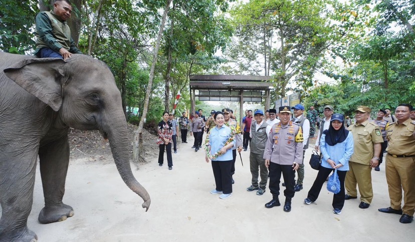 Kapolri-Titiek Soeharto Tinjau TNTN: Dukung Pelestarian Gajah hingga Tanam Pohon