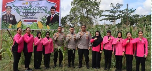 KAPOLRES DUMAI HADIR DALAM ACARA PANEN RAYA JAGUNG DI BUKIT KAPUR.