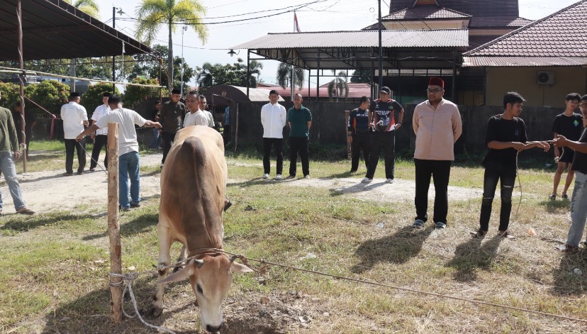 Polres Kampar Penyembelihkan 9 Ekor Sapi Qurban Hasilnya Dibagikan Kepada Masyarakat, Warga Asrama &