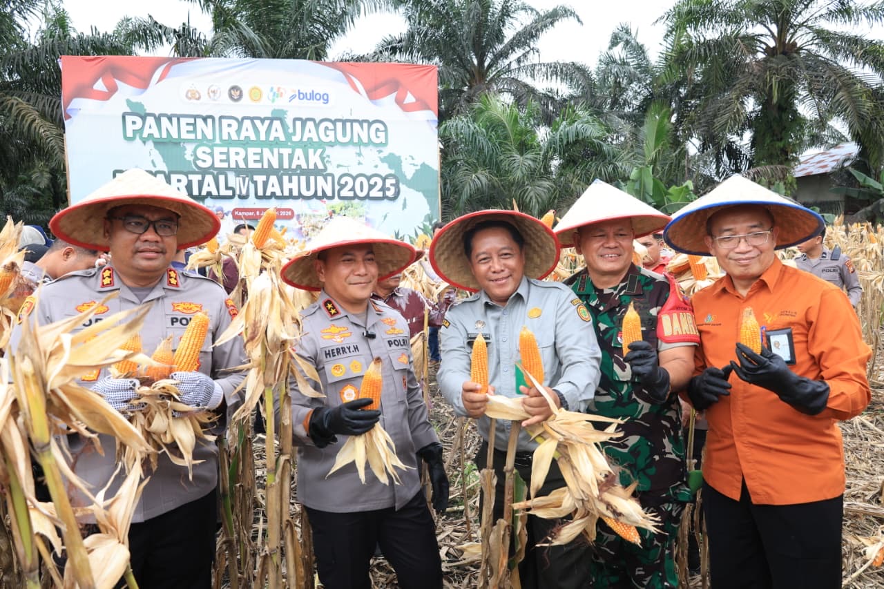Wujudkan Swasembada Pangan, Polda Riau Panen Raya Jagung Serentak di Kampar