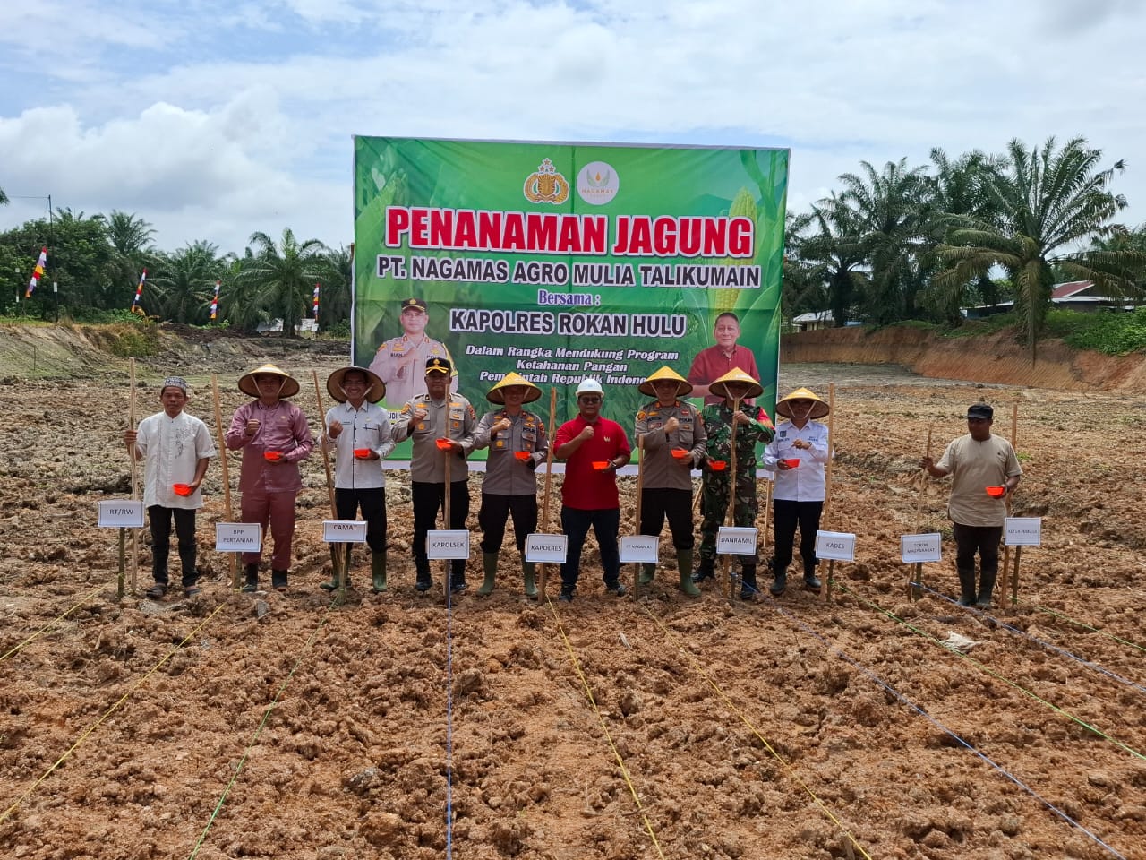 Dukung Ketahanan Pangan, PT. Naga Mas Agro Mulia II Bersama Rokan Hulu Tanam Jagung Pipil