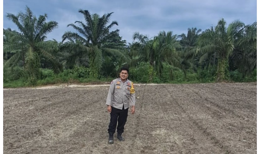 1,5 HA LAHAN JAGUNG PIPIL DIMONITOR BHABINKAMTIBMAS PASTIKAN PERKEMBANGAN OPTIMAL