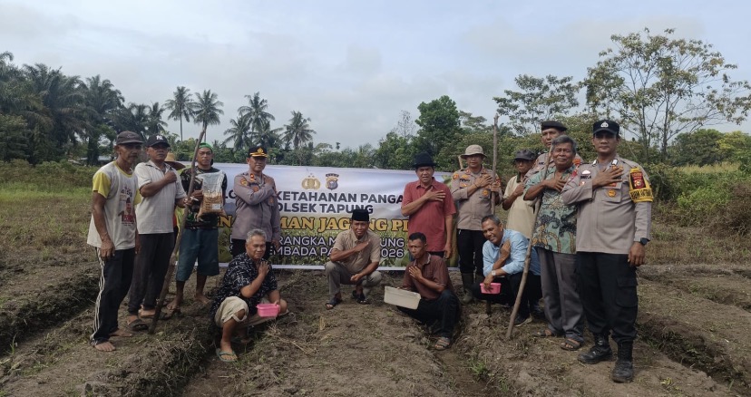 POLSEK TAPUNG KEMBALI TANAM JAGUNG PIPIL
