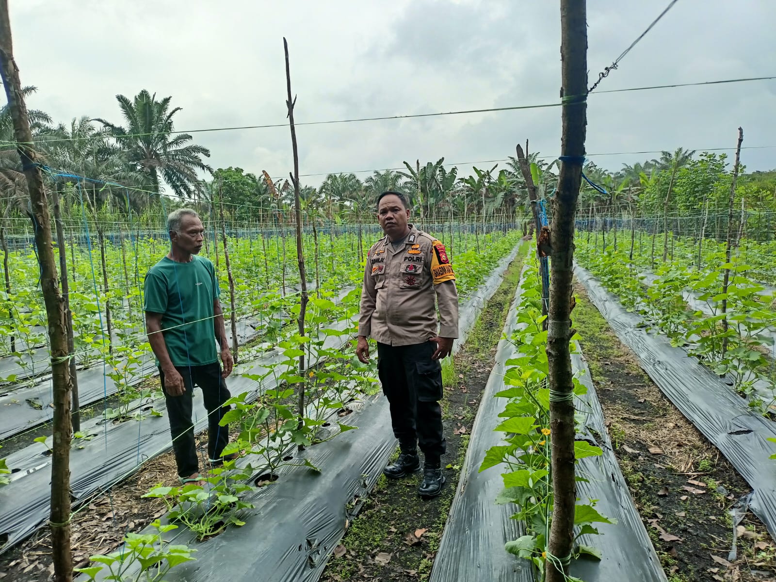 Polres Kampar Ajak Masyarakat Tangan Pangan: Pengecekan Pekarangan Bergizi di Sungai Pagar Sukses!  