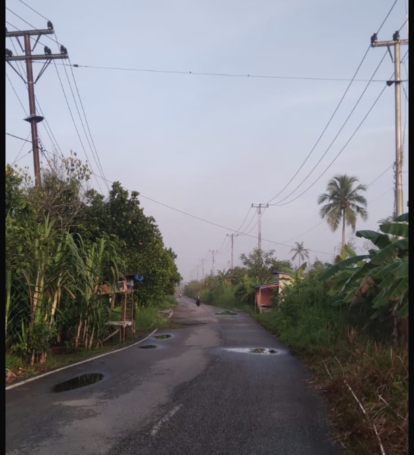 10 Tahun Gelap Gulita, Warga Parit 21 Tembilahan Desak Dinas Pertamanan Segera Pasang Lampu Jalan