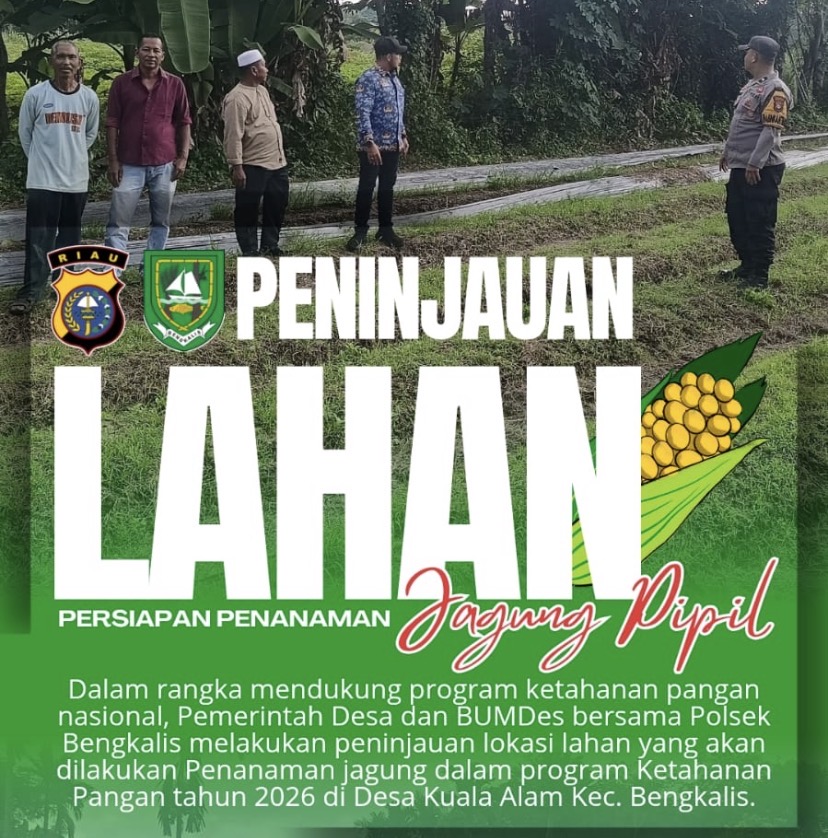 Dukungan Swasembada Pangan Presiden RI, Polsek Bengkalis Intensifkan Perawatan Lahan Jagung Pipil di