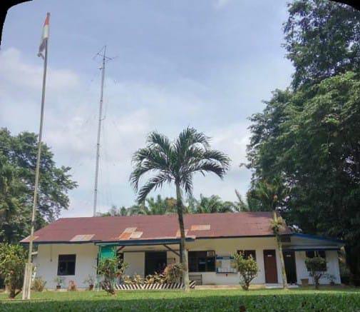 Nestapa Masyarakat Di Sekitar PT TML, Demi Bertahan Hidup Di Kriminialisasi Karena Memutik Brondol