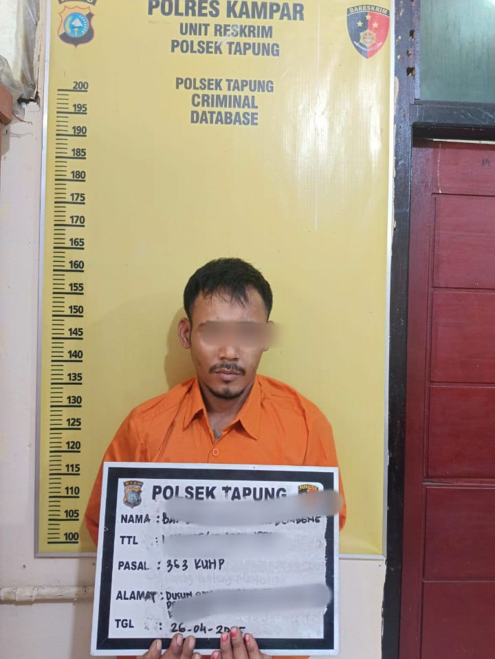 Tidak Butuh Lama, Pelaku Pencurian dan Pemberatan Diringkus Polsek Tapung 
