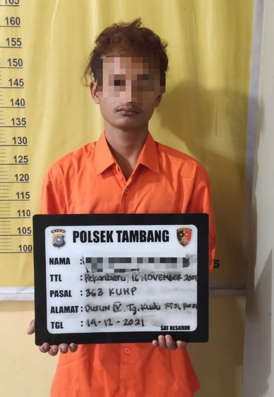 Polsek Tambang Tangkap Pelaku Coranmor di Desa Kualu Kec.Tambang
