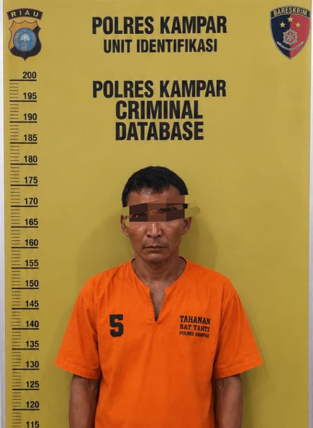 Polres Kampar Tangkap Pelaku Pencabulan, Sebelumnya Korban di Beri Pil Ekstasi