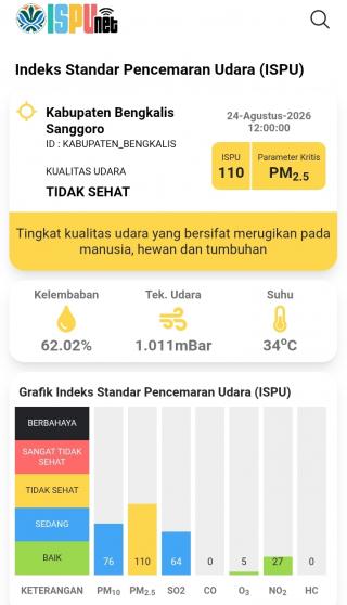 Udara Bengkalis Tidak Sehat, DLH Imbau Warga Kurangi Aktivitas di Luar Ruangan