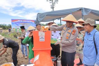 Kapolres Kampar Hadir Saksikan Panen Jagung Pipil dan Dukung Swasembada Pangan