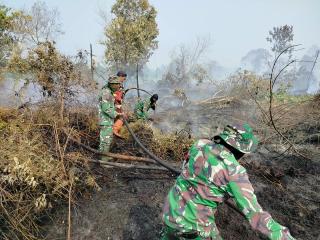 Kodam XIX Tuanku Tambusai Perkuat Penanganan Karhutla, 14 Hektare Lahan di Kampar Terbakar
