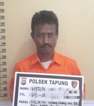 Polsek Tapung Kembali Tangkap Pelaku Narkoba Bersama Belasan Paket Shabu Siap Edar