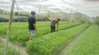 KEGIATAN BHABINKAMTIBMAS. BAGAN BESAR TIMUR KOTA DUMAI BERSAMA PETANI.